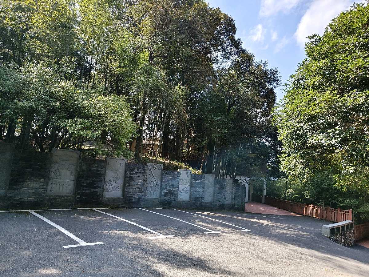 江西大余:丫山蝶变(图102)