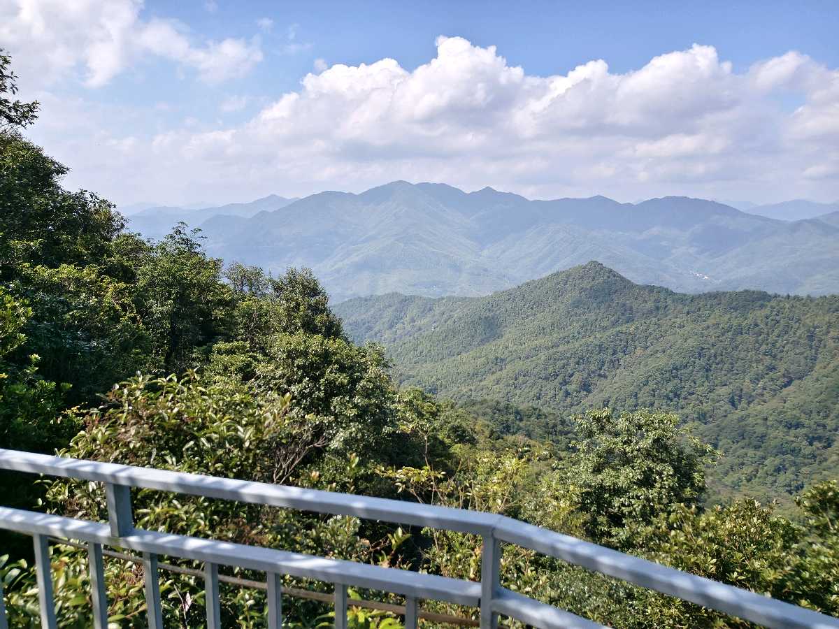 江西大余:丫山蝶变(图106)