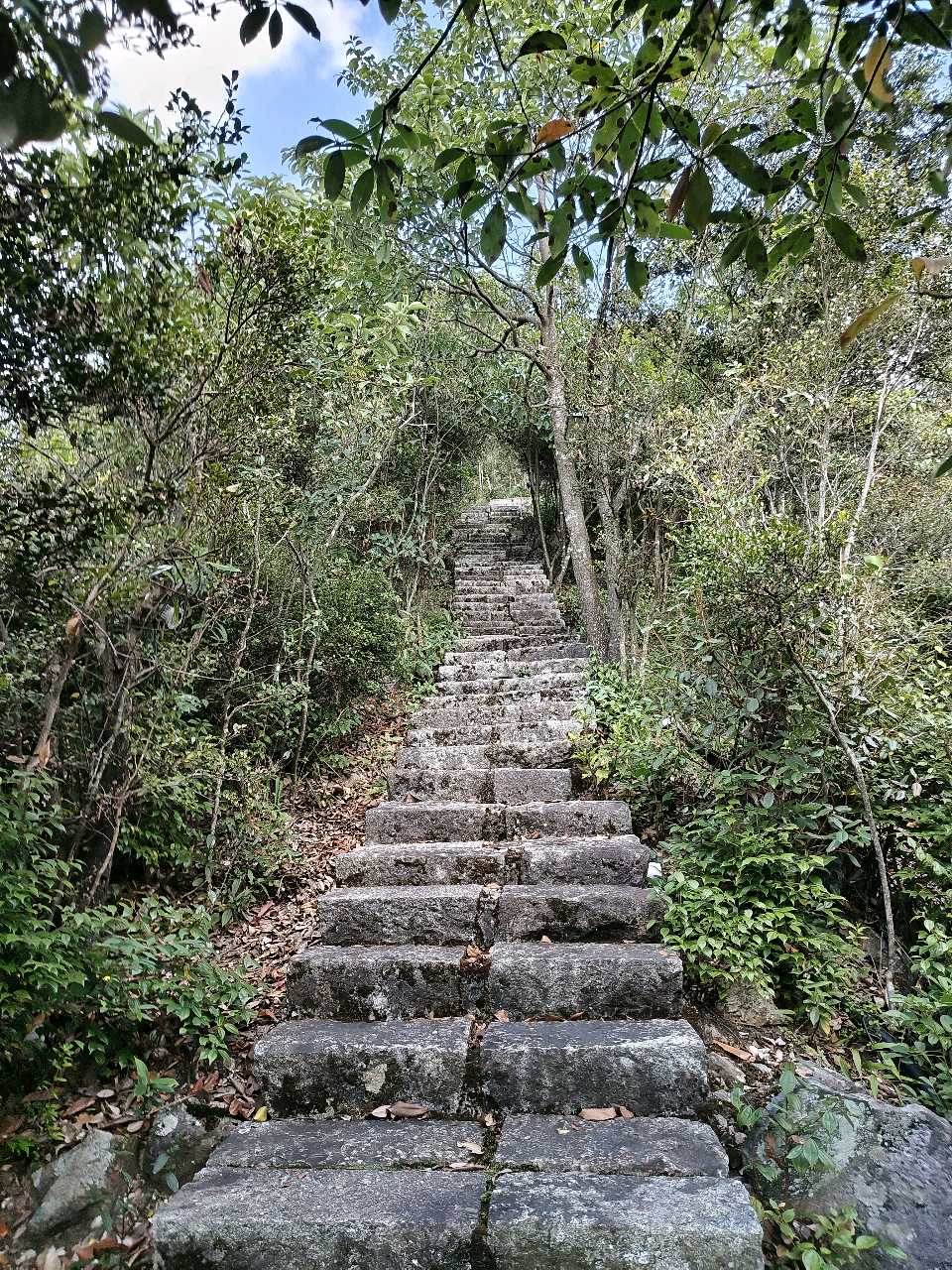 江西大余:丫山蝶变(图104)