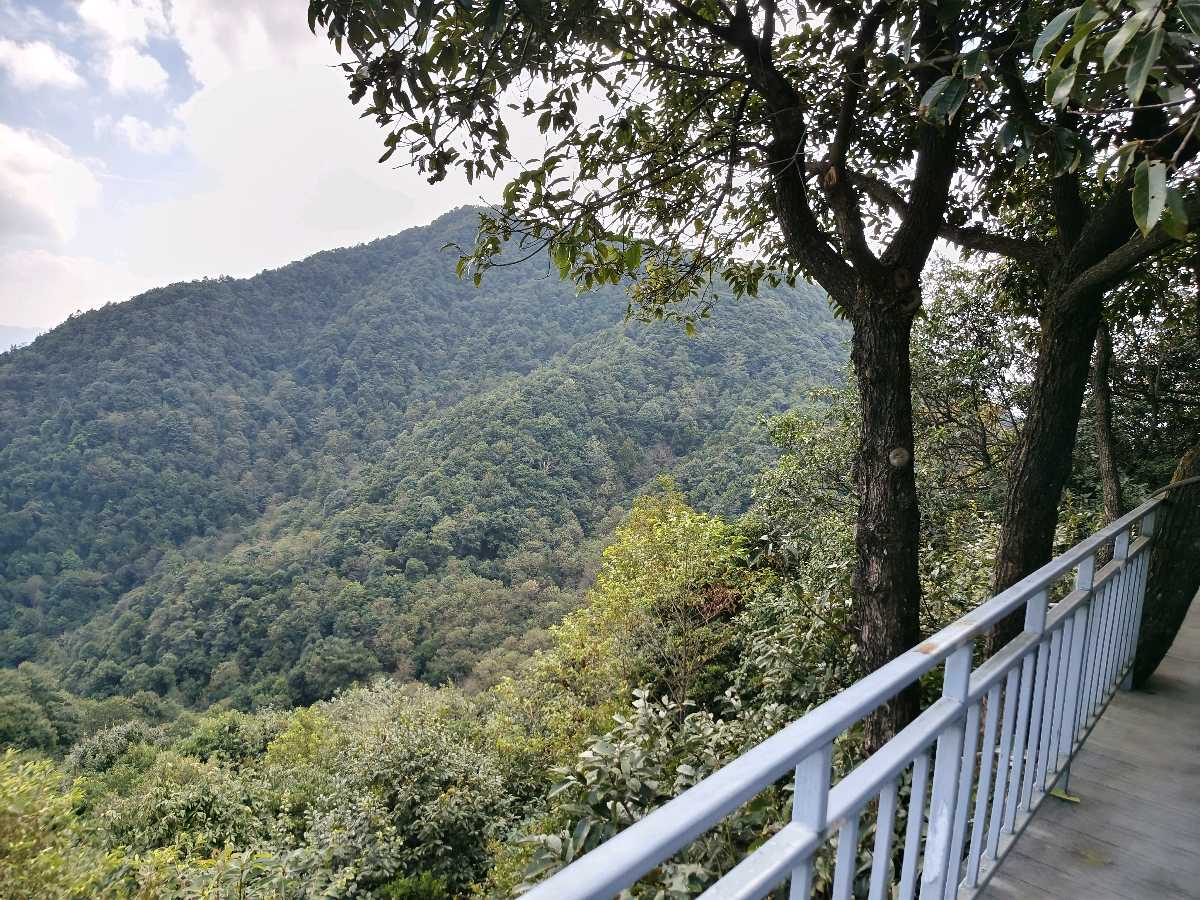 江西大余:丫山蝶变(图103)