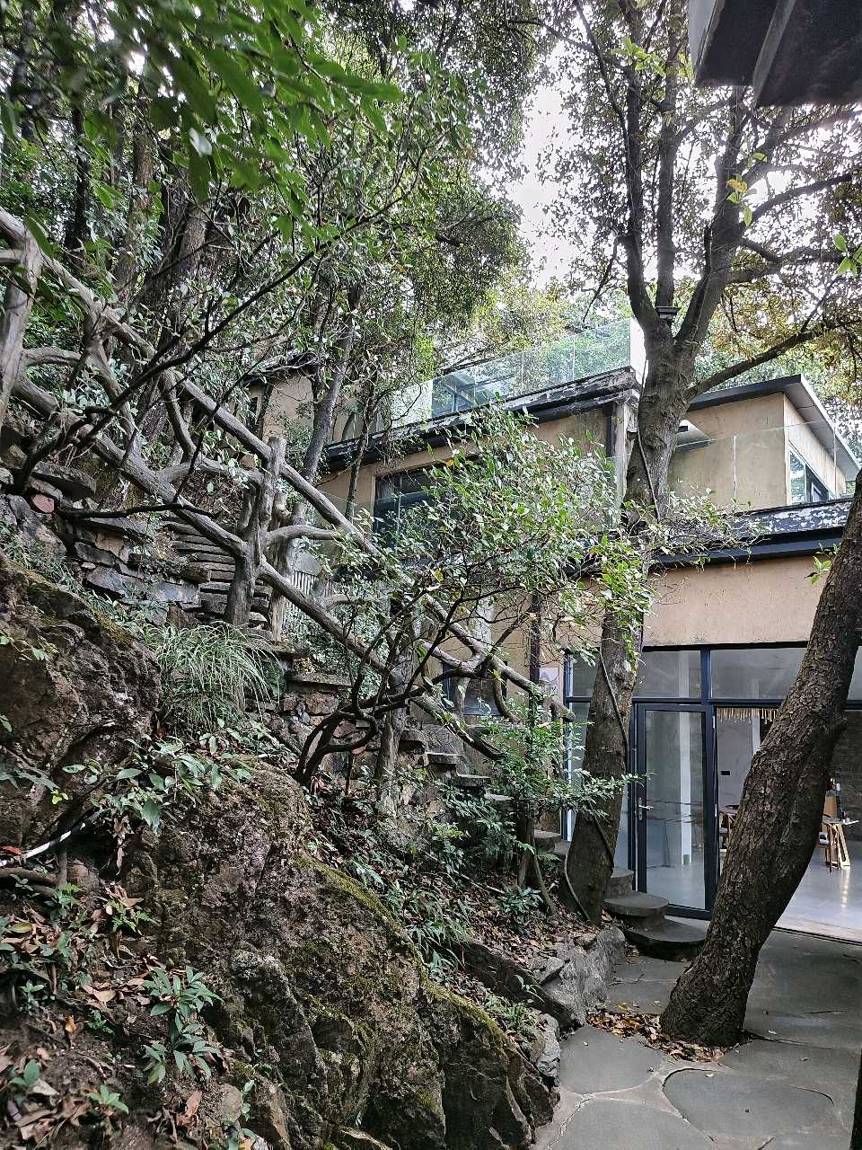 江西大余:丫山蝶变(图123)