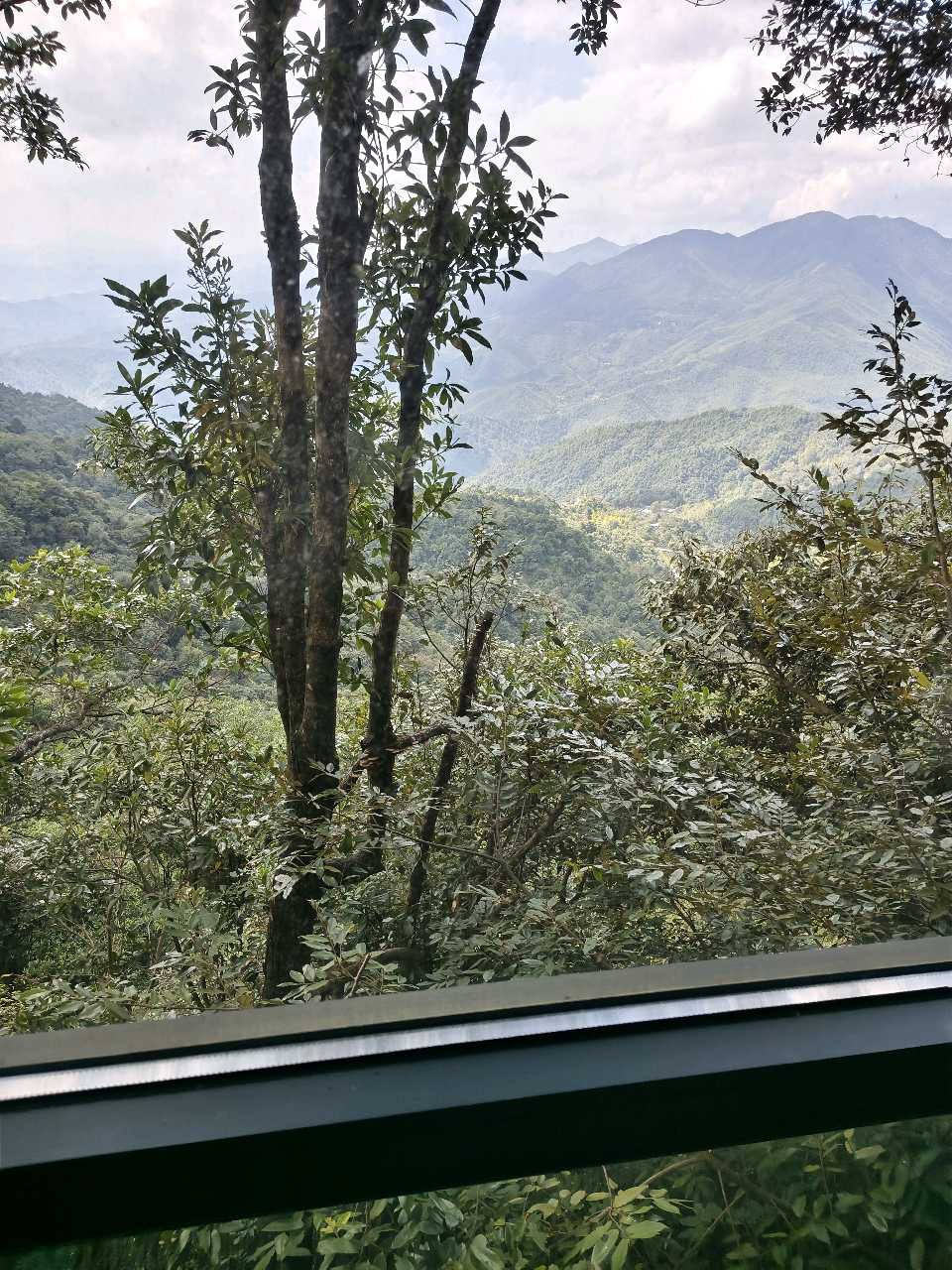江西大余:丫山蝶变(图121)