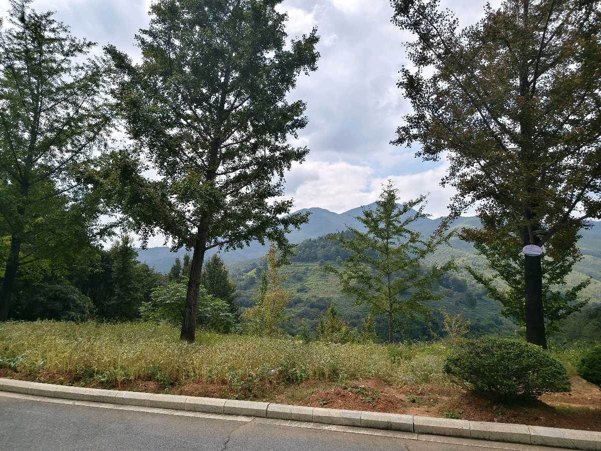 江西大余:丫山蝶变(图137)