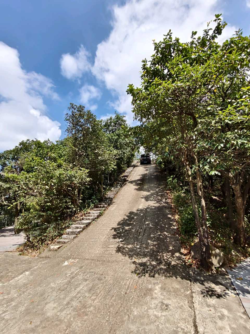 江西大余:丫山蝶变(图125)