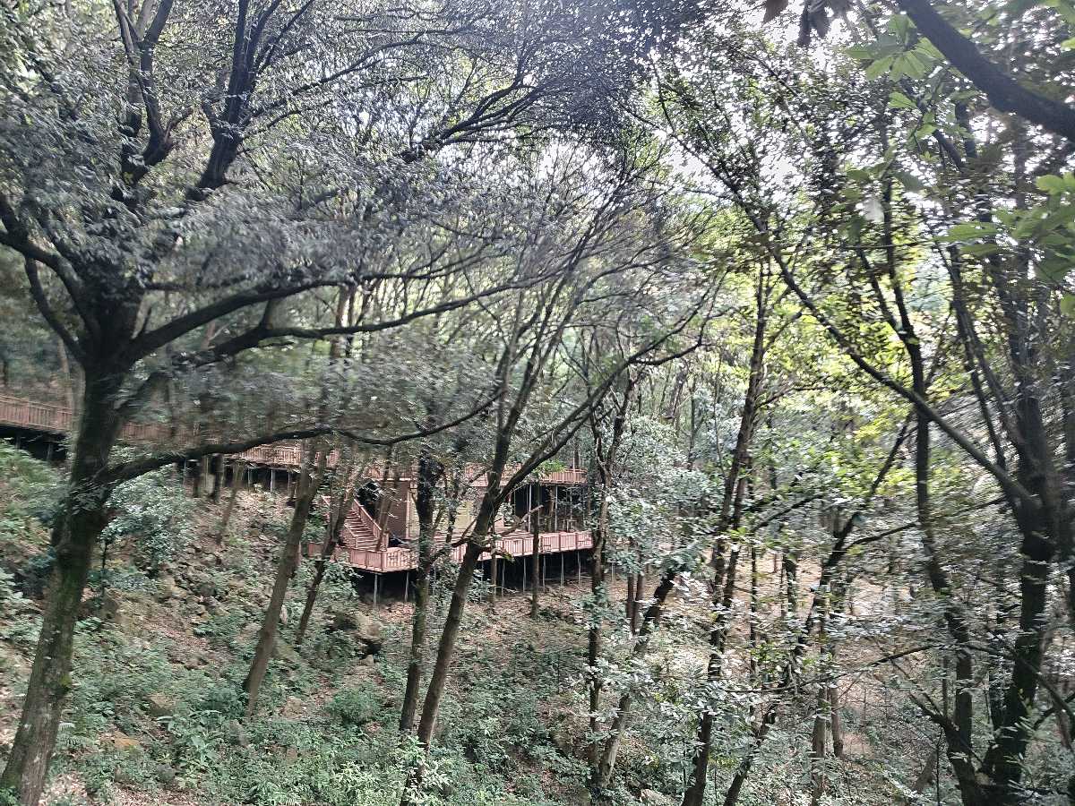 江西大余:丫山蝶变(图129)