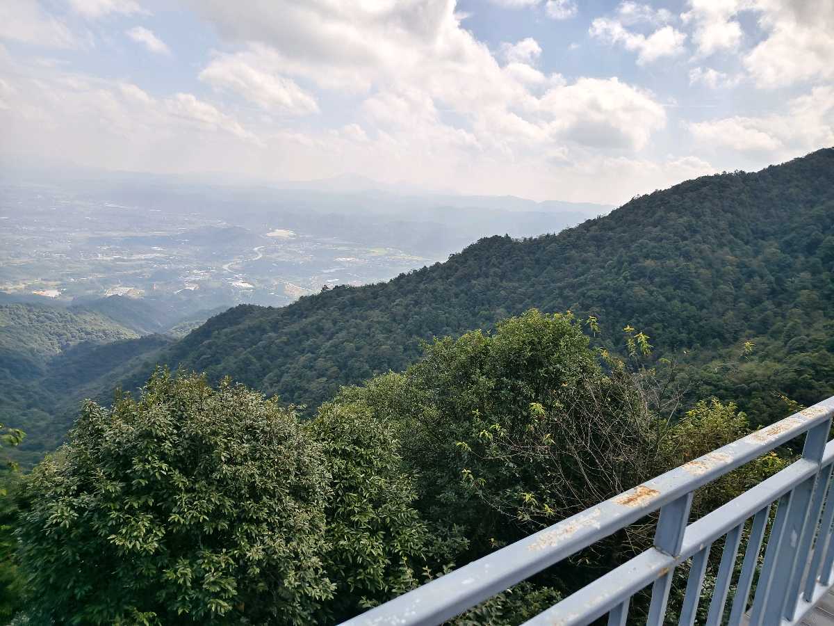 江西大余:丫山蝶变(图69)