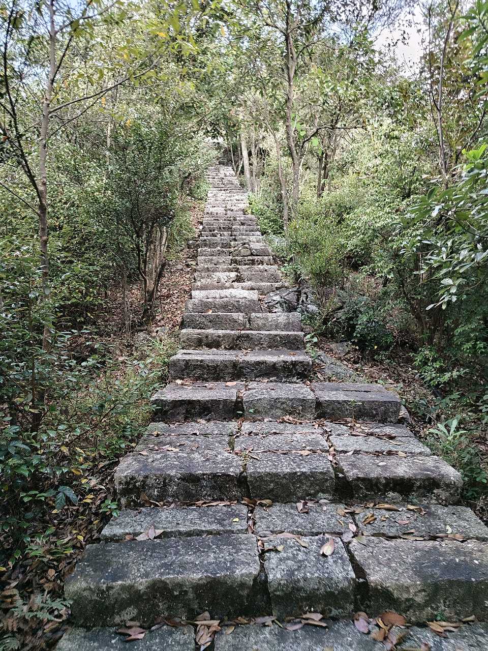 江西大余:丫山蝶变(图68)