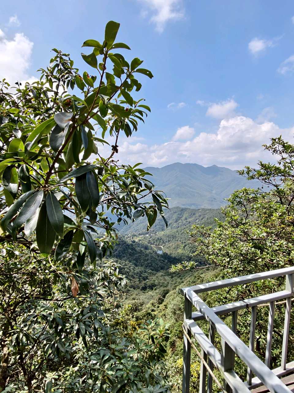 江西大余:丫山蝶变(图53)