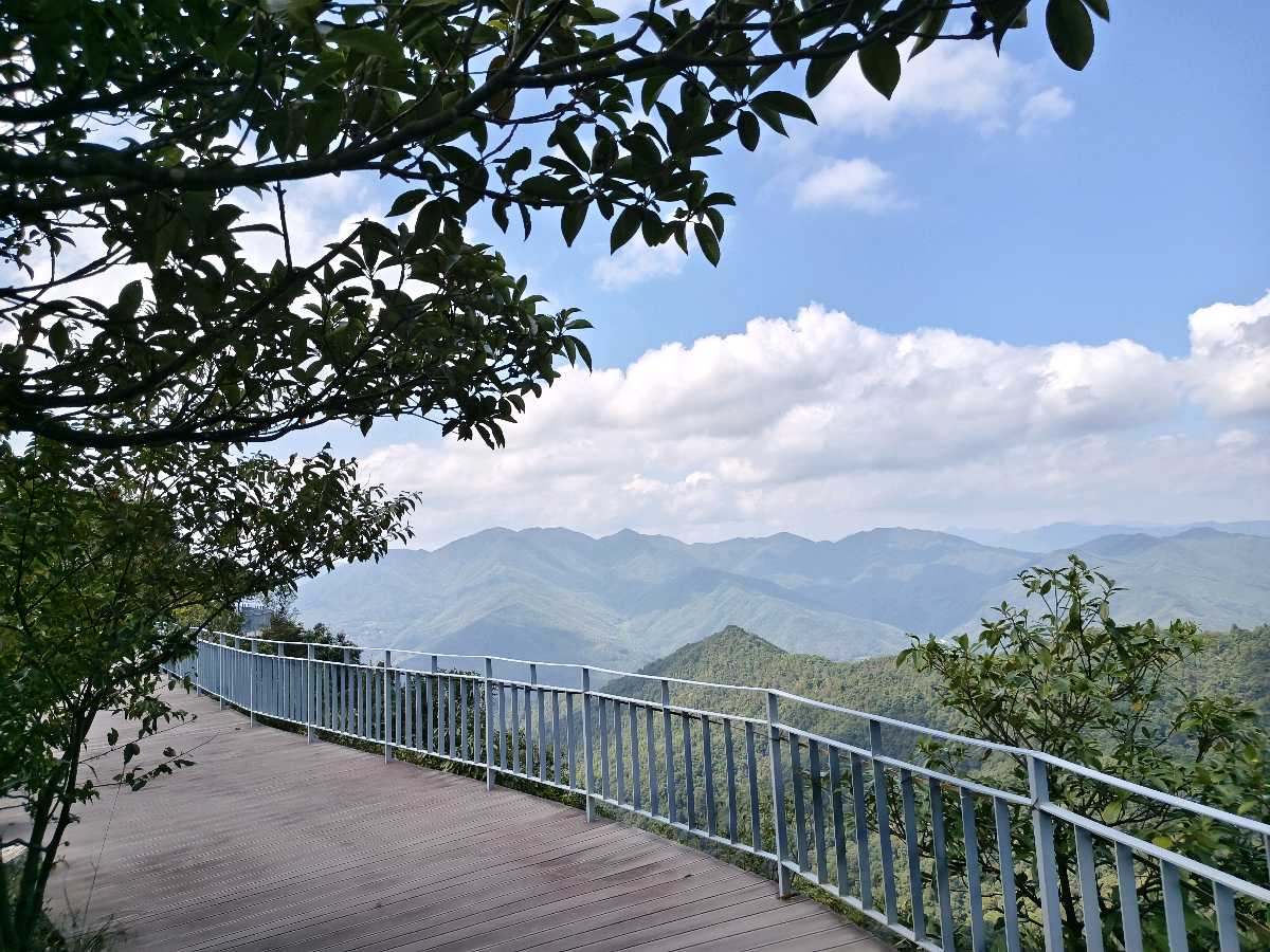 江西大余:丫山蝶变(图63)