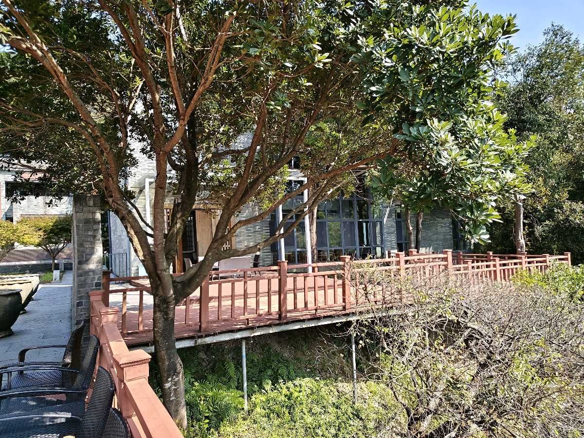 江西大余:丫山蝶变(图72)