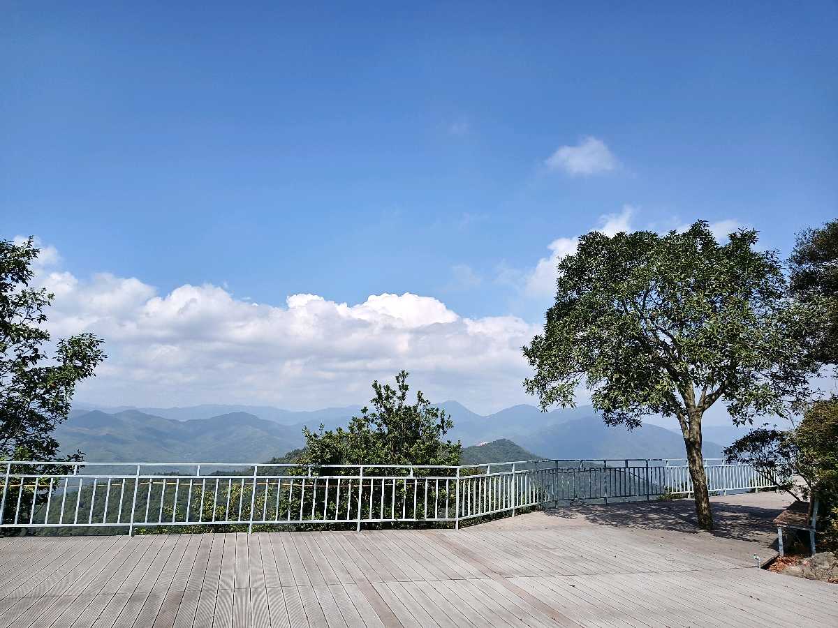 江西大余:丫山蝶变(图67)
