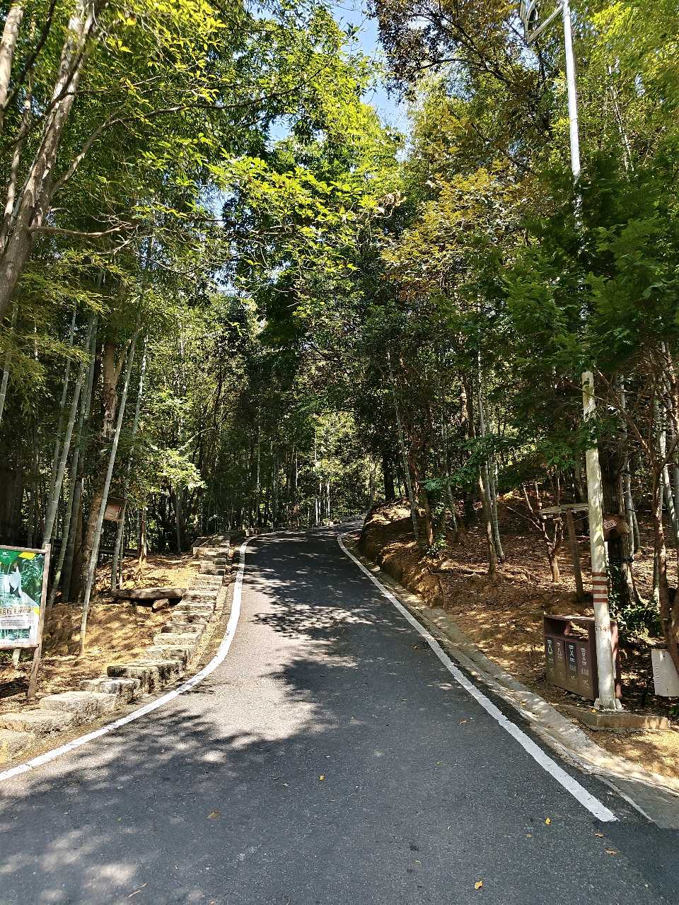 江西大余:丫山蝶变(图70)