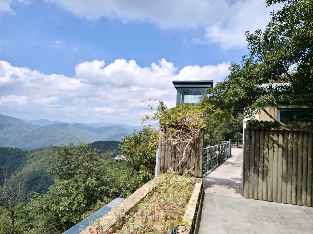 江西大余:丫山蝶变(图55)