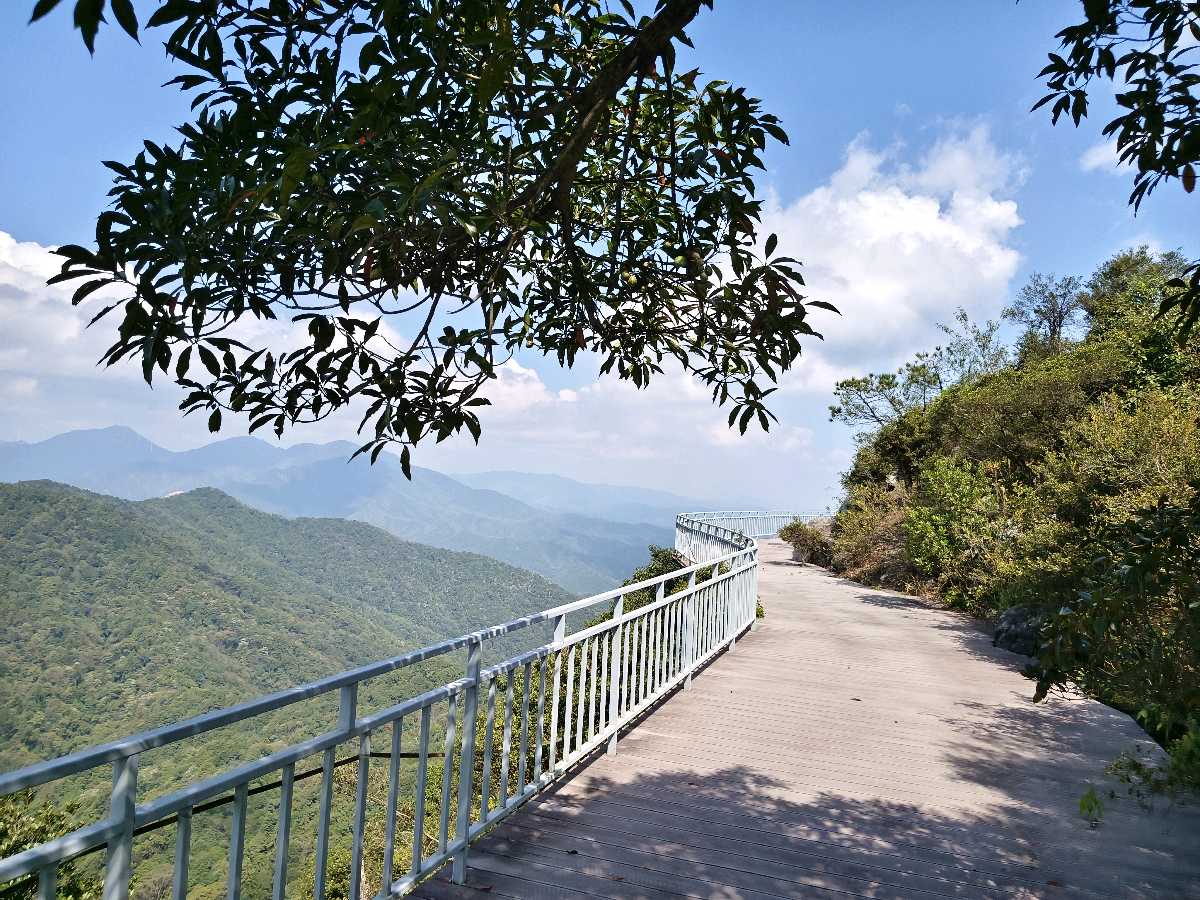江西大余:丫山蝶变(图66)