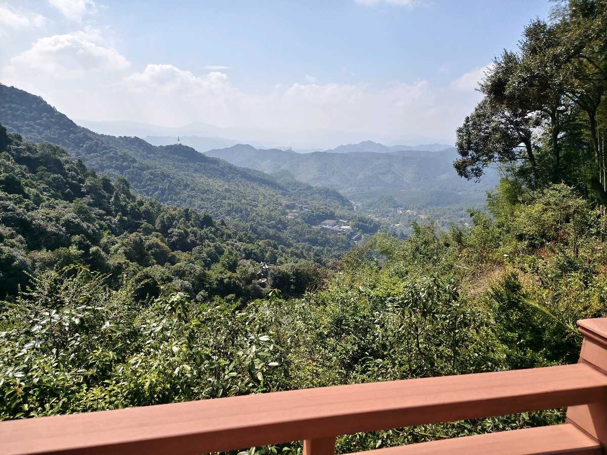 江西大余:丫山蝶变(图73)