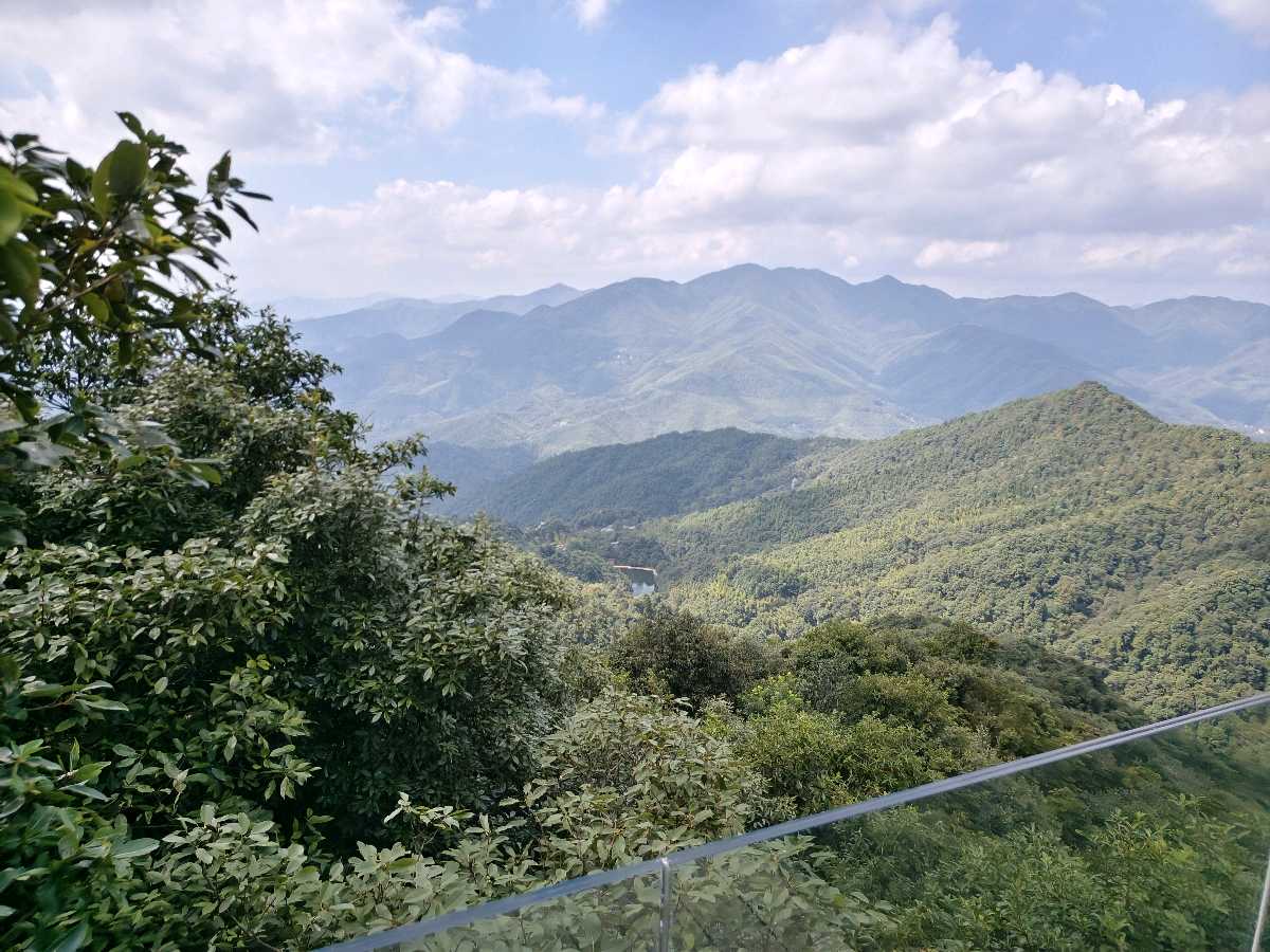 江西大余:丫山蝶变(图62)