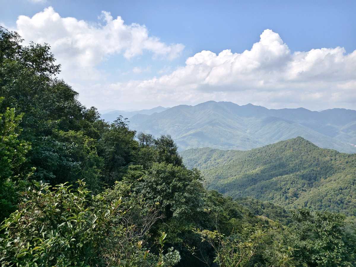 江西大余:丫山蝶变(图65)