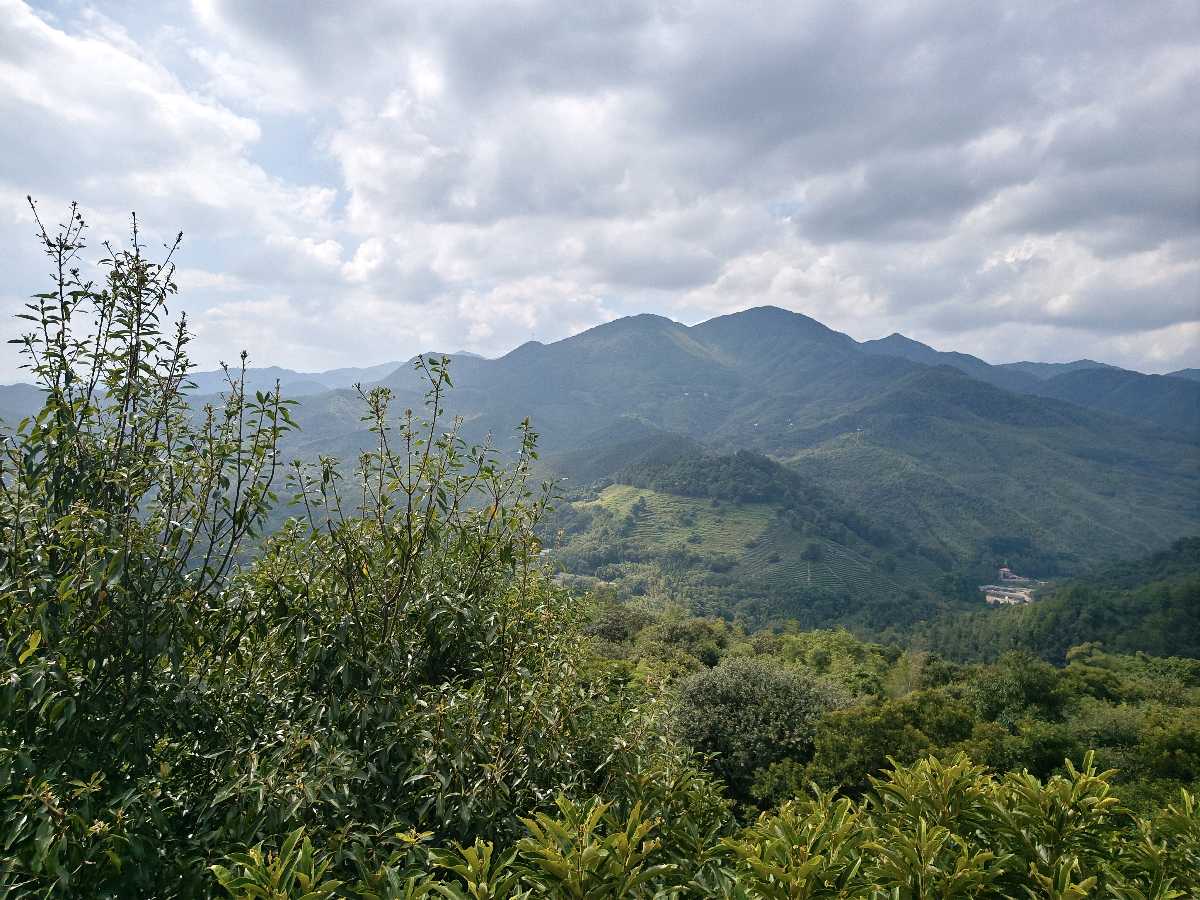 江西大余:丫山蝶变(图85)