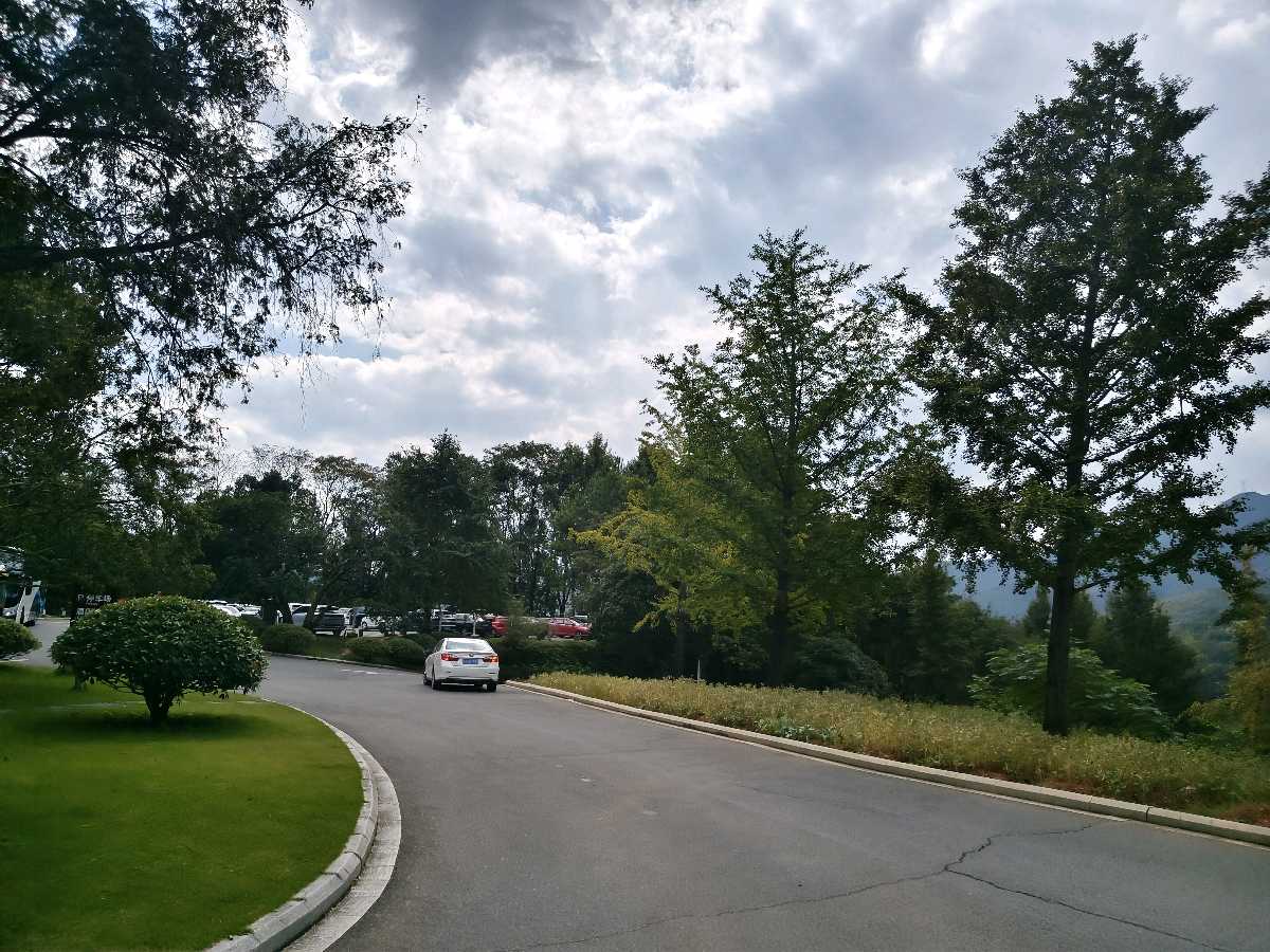 江西大余:丫山蝶变(图93)