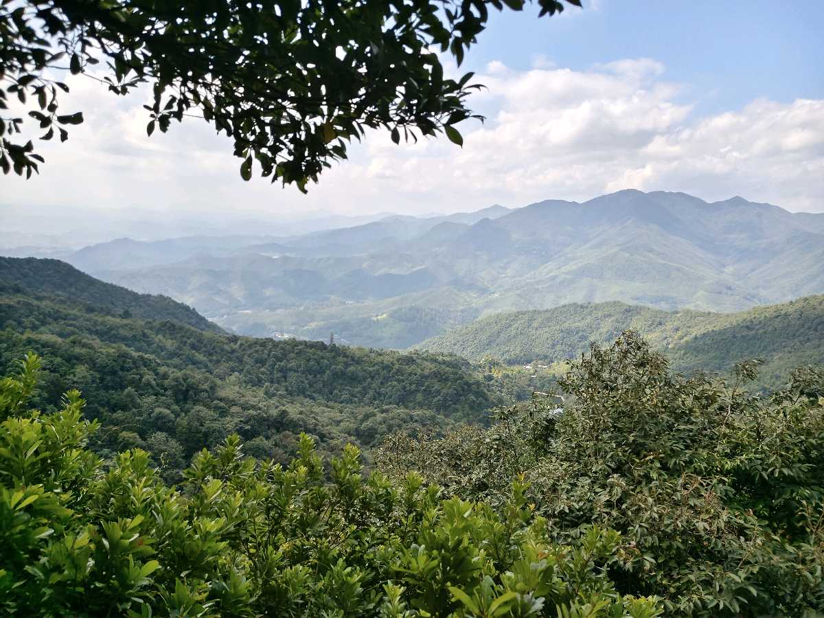 江西大余:丫山蝶变(图23)