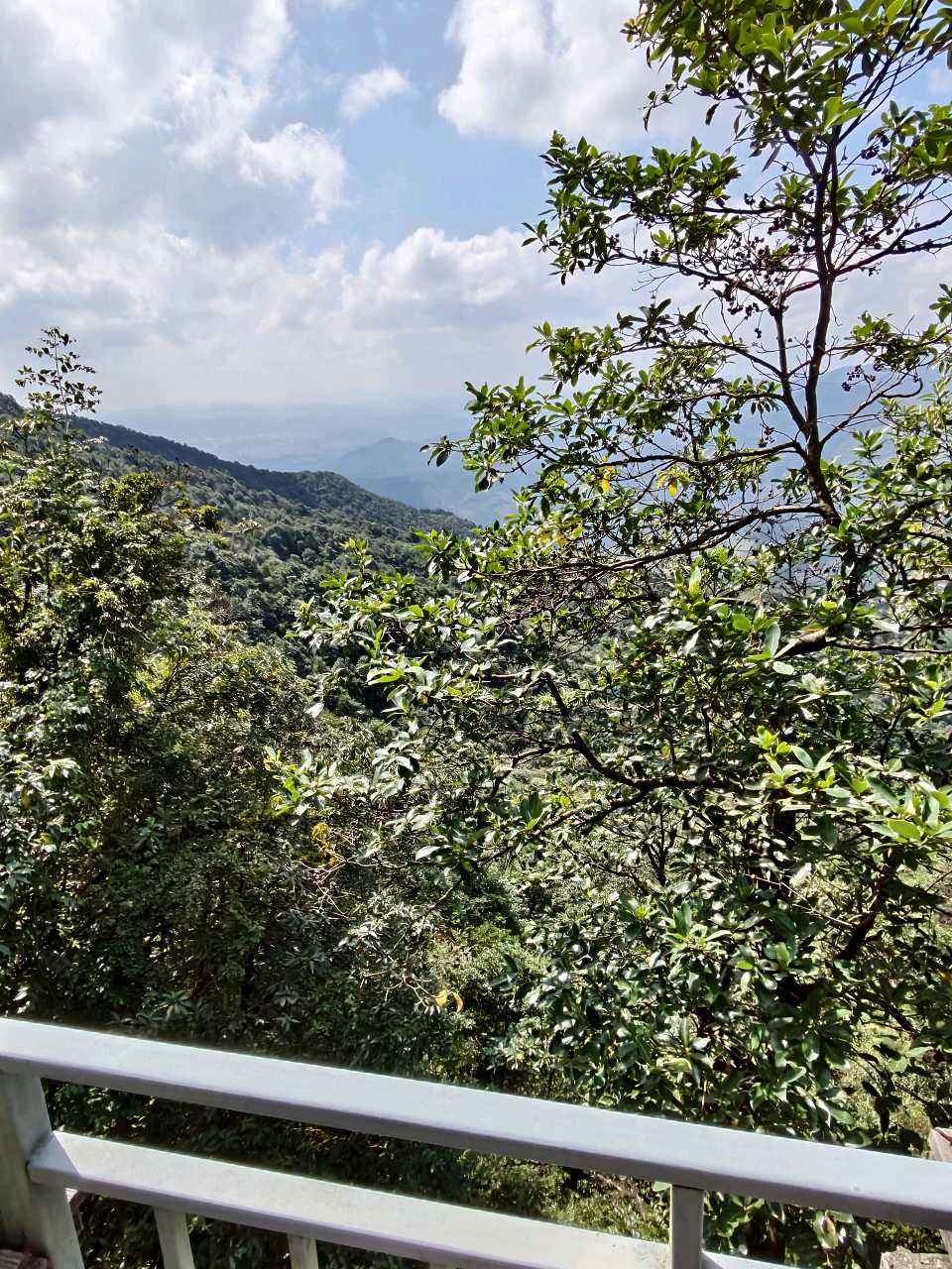 江西大余:丫山蝶变(图25)