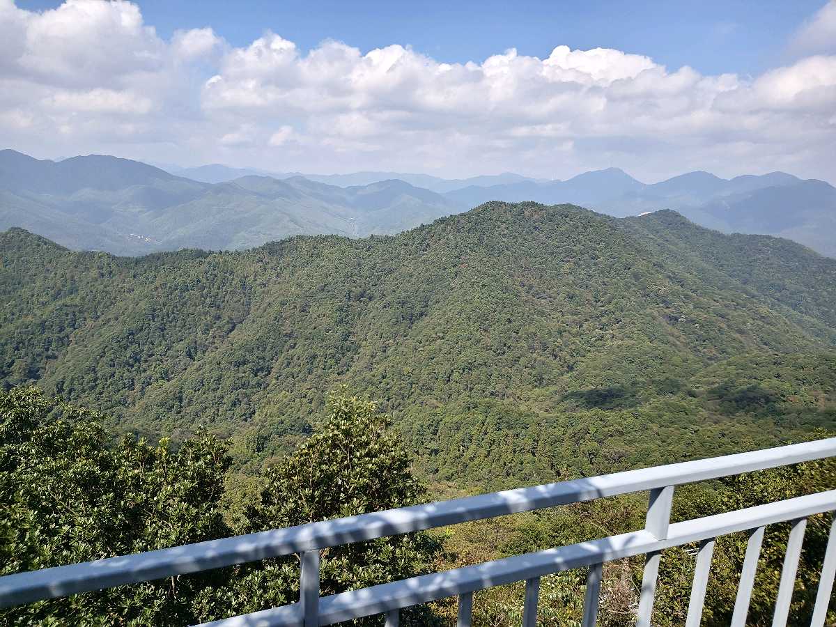 江西大余:丫山蝶变(图38)