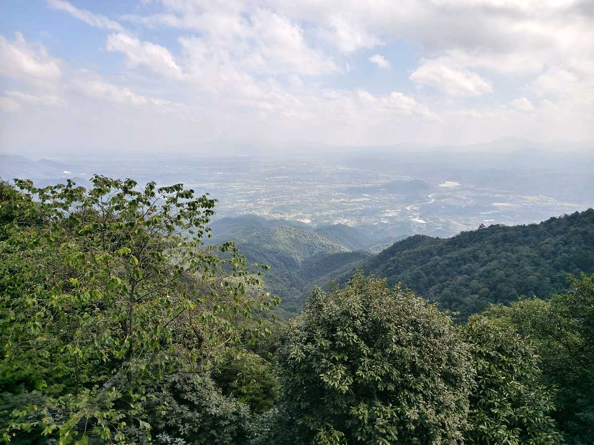 江西大余:丫山蝶变(图42)
