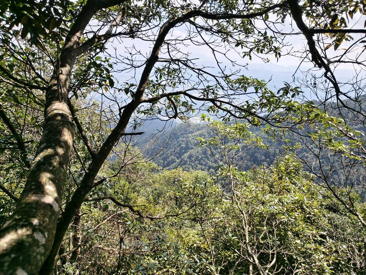 江西大余:丫山蝶变(图40)