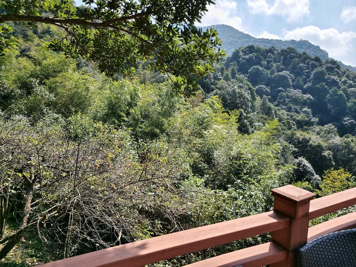 江西大余:丫山蝶变(图46)