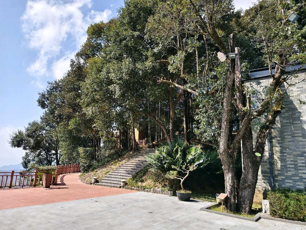 江西大余:丫山蝶变(图43)