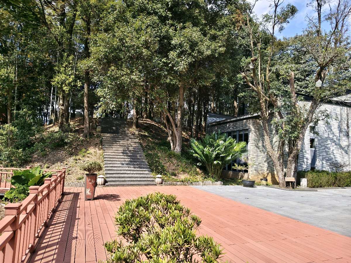 江西大余:丫山蝶变(图45)