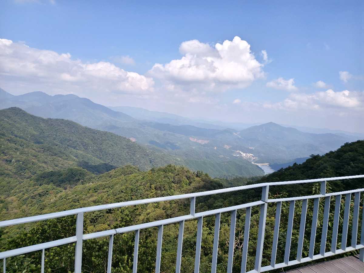 江西大余:丫山蝶变(图37)
