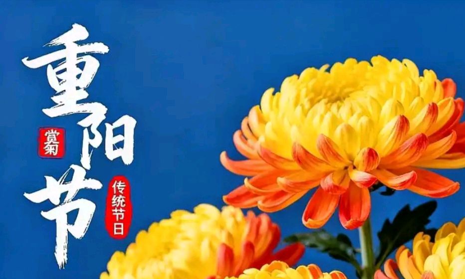 【重阳节专刊3】【散文】《山河故人远 菊酒话重阳——谨以此文纪念重阳节被正式确立为传统节日一千三百余年》作者: 强军/陕西宝鸡(图2)
