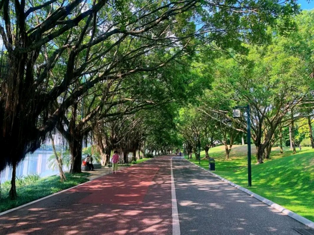 【七律·青秀山如意步道】文/隆光诚（图3）
