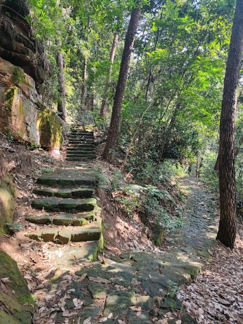 【七律·青秀山如意步道】文/隆光诚（图4）