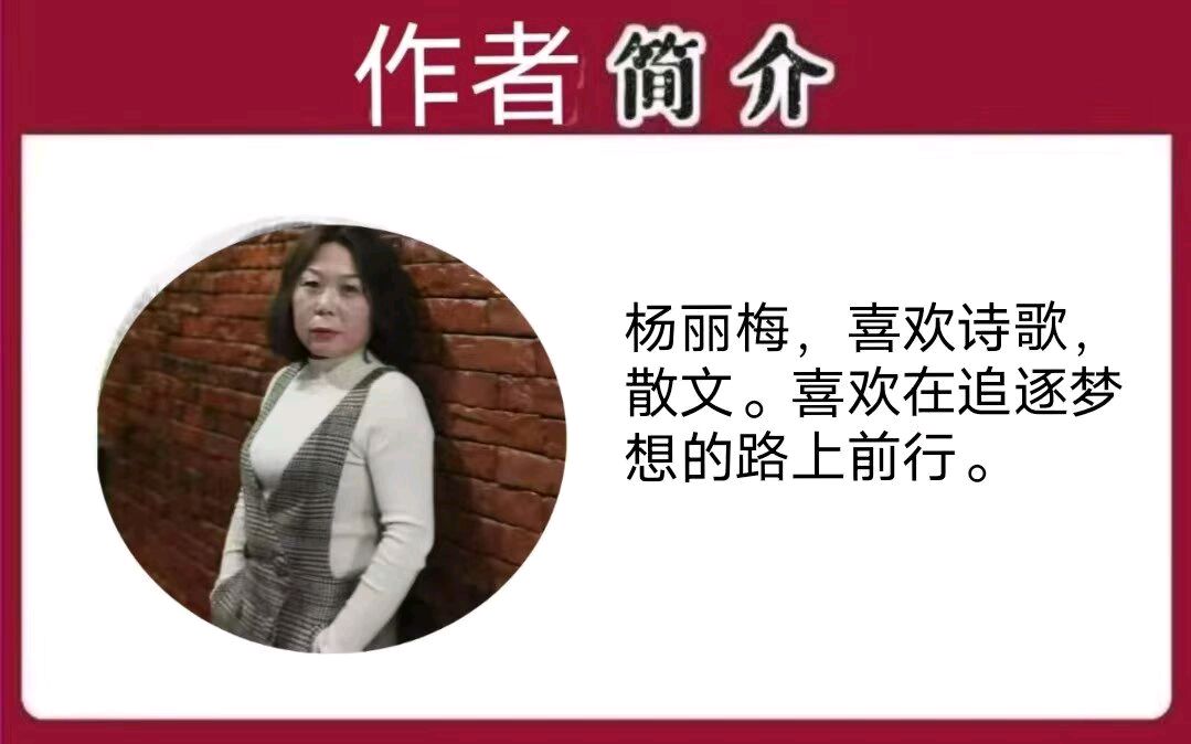 《时间都去哪儿了》作者/杨丽梅 主播/丽丽 主编/胡琴