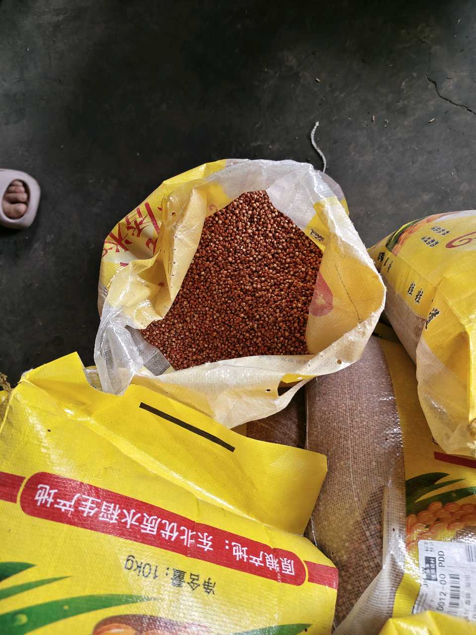 凤琼酒厂:庾岭之麓 风吹酒香(图12)