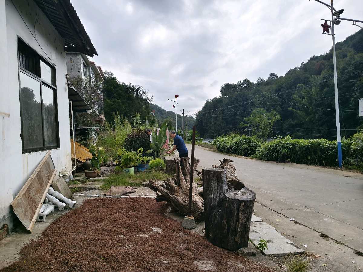凤琼酒厂:庾岭之麓 风吹酒香(图6)