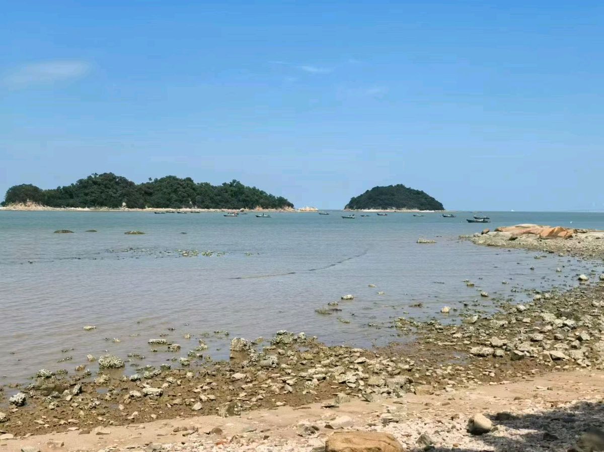 【茌山诗苑】广东云杉‖阅读幸福的花都湖