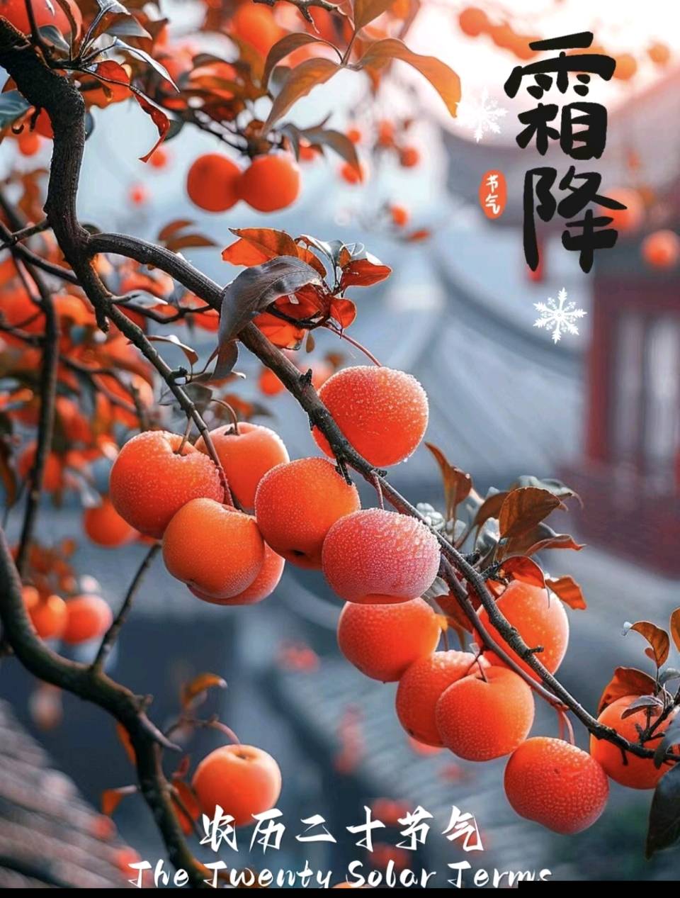 【诗咏廿四节气之霜降】七律. 霜降 作者：董俊青（青海西宁）（图4）