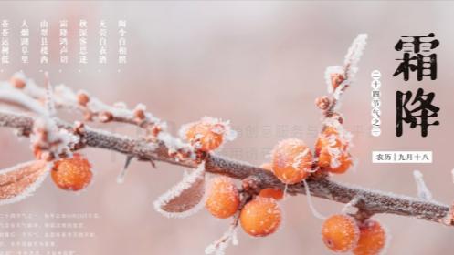 【丙午霜降】同题专辑*岭南文学诗词(645)期(图3)