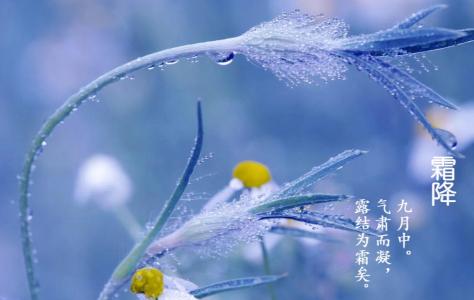 【丙午霜降】同题专辑*岭南文学诗词(645)期(图4)