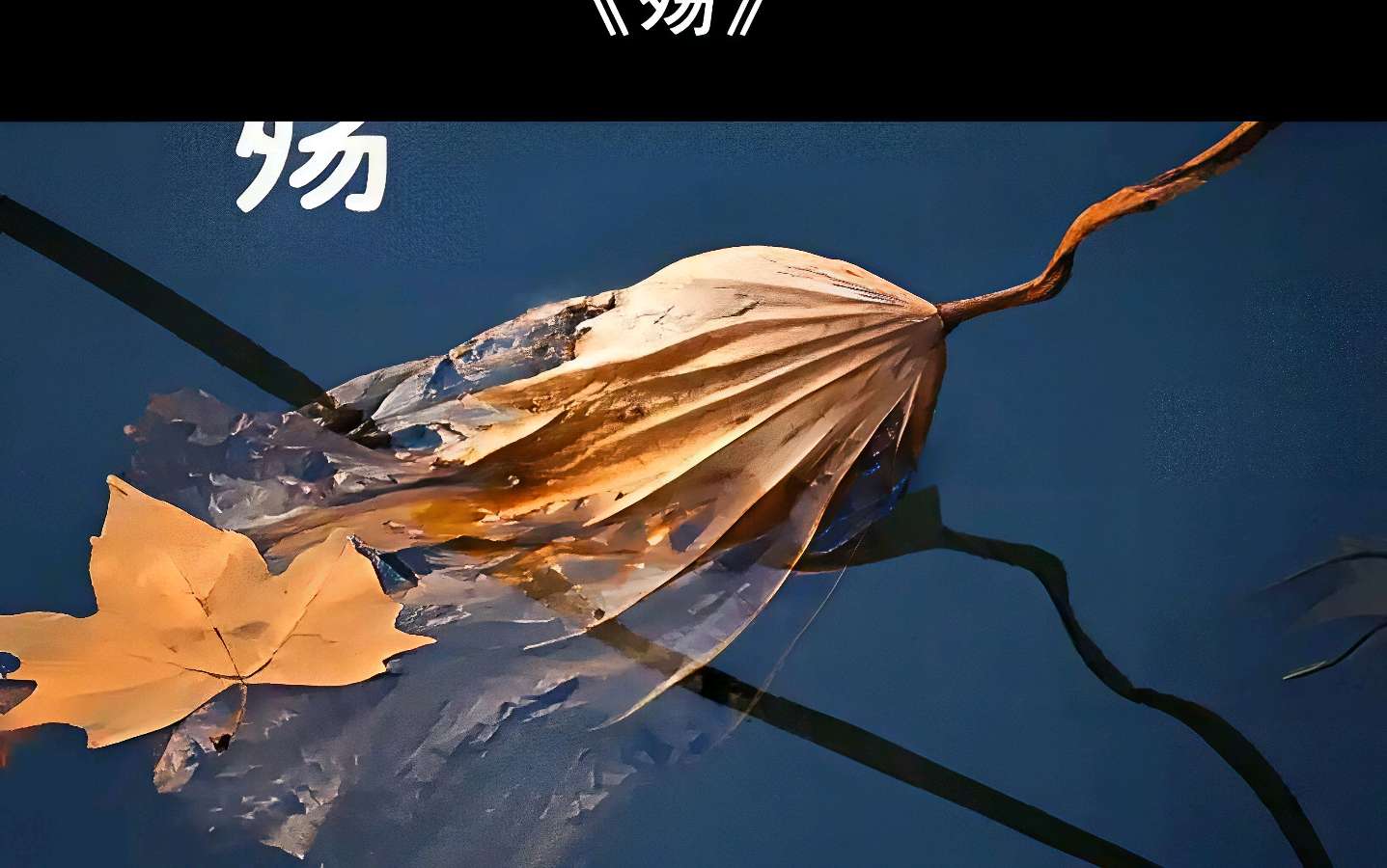 欣赏李纯良律诗·大A殇歌(图3)