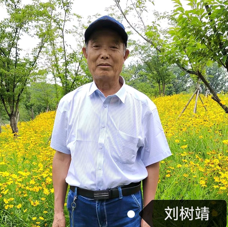 名家精作《刘树靖七律五首》作者:刘树靖(新疆)编辑制作:段广亭【都市头条采菊东篱文学社】(图3)