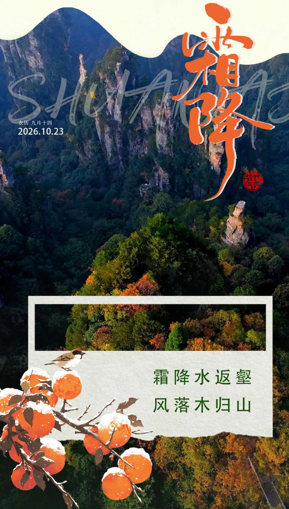 《山水怡情》文学社第45期 霜降 霜染枫林添秀色；风摇菊蕊溢清香。（图5）