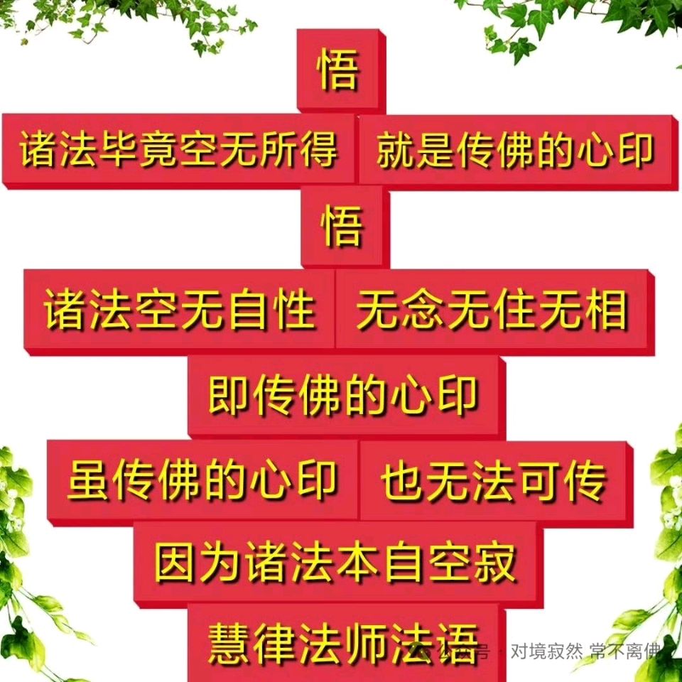 虚云法师讲解轮回(图12)