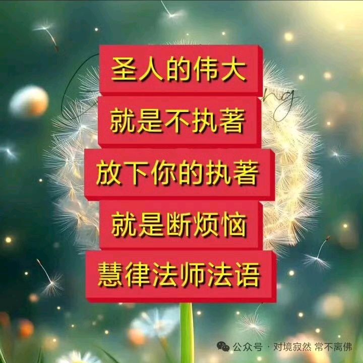 虚云法师讲解轮回(图16)