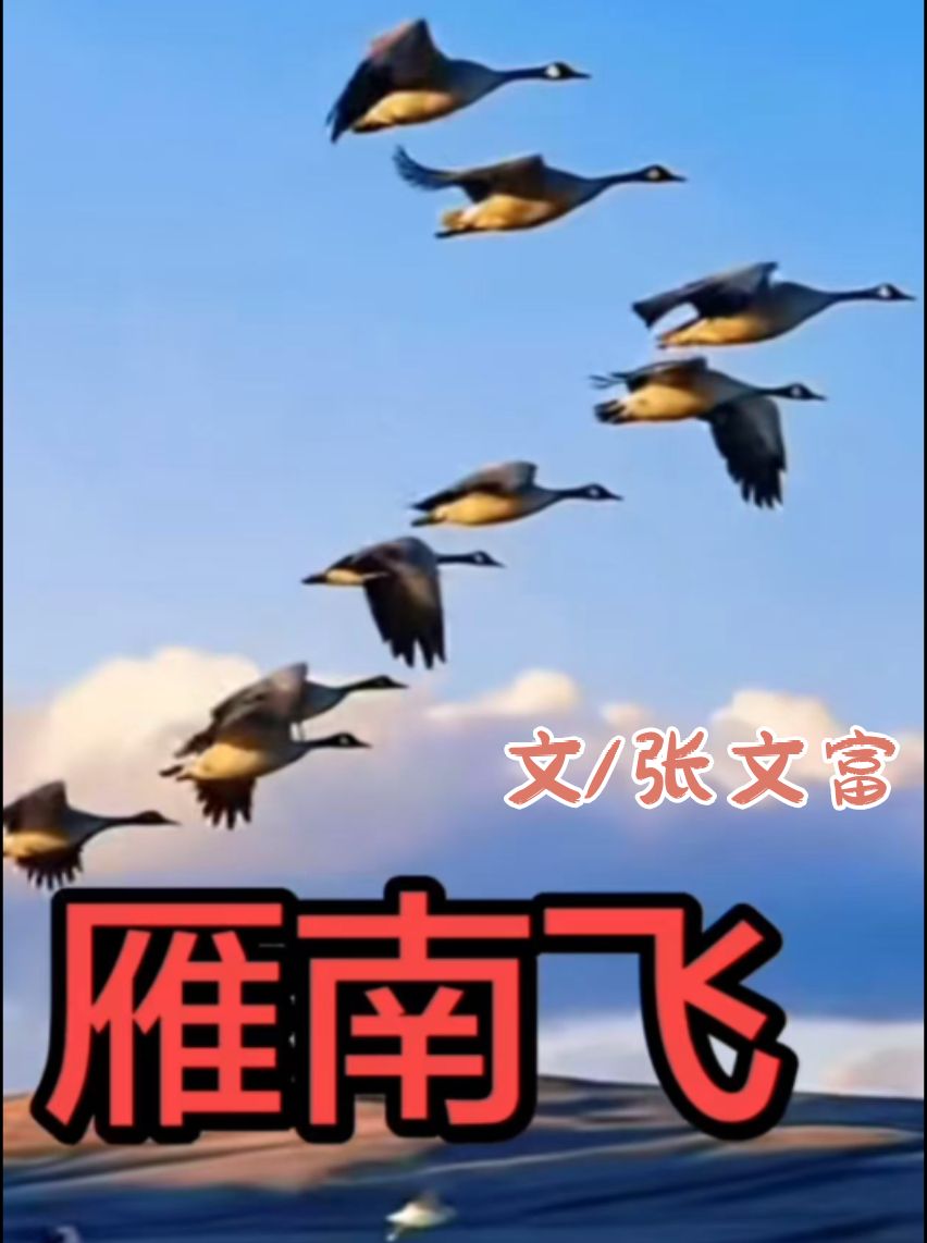 请欣赏《雁南飞》作者/张文富 主播/过往 编辑/一个人【中国长江文学社】有声文学平台【第20401期】（图3）