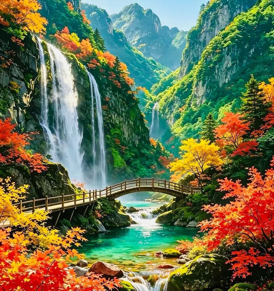 霜枫秋信 （文／三阳）