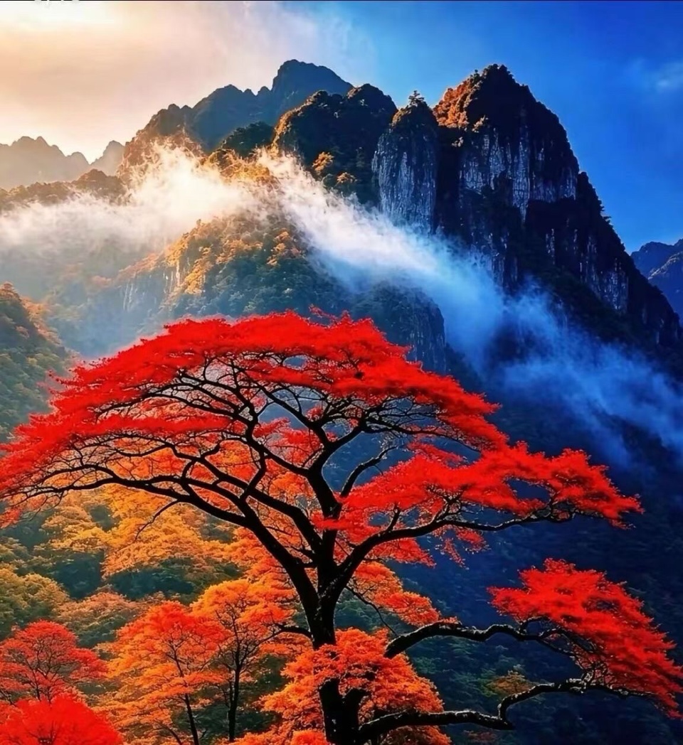 霜枫秋信 （文／三阳）（图3）